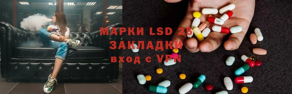 индика Горно-Алтайск