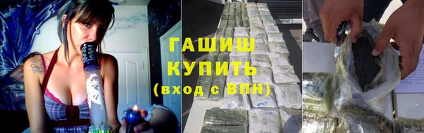 индика Горно-Алтайск