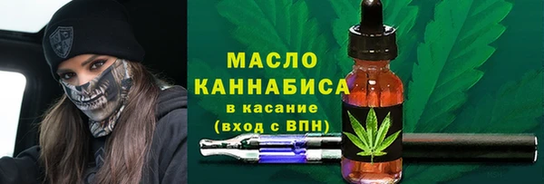 СК Горнозаводск