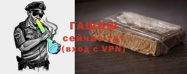 индика Горно-Алтайск