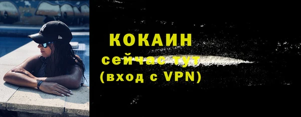 индика Горно-Алтайск