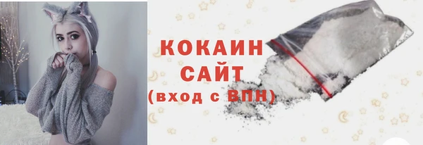 индика Горно-Алтайск
