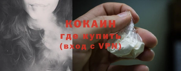 индика Горно-Алтайск