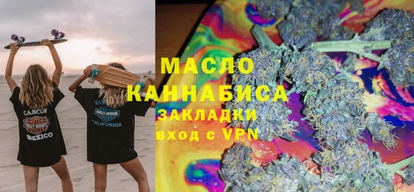 индика Горно-Алтайск