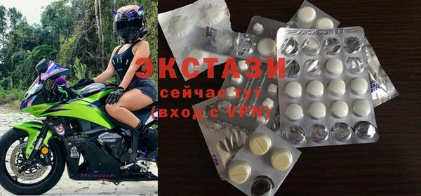 индика Горно-Алтайск