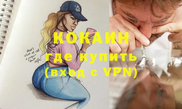 дживик Горняк