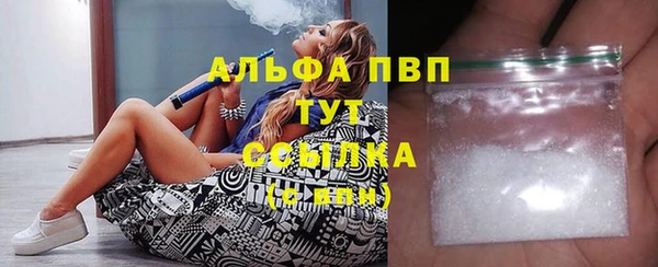 дживик Горняк