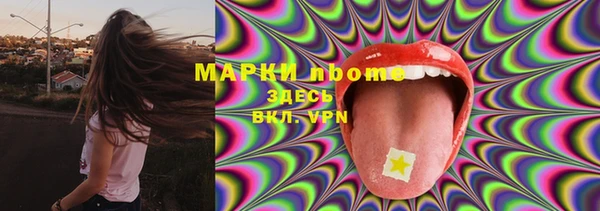 дживик Горняк