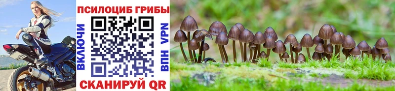 Галлюциногенные грибы GOLDEN TEACHER  Купить закладки  Лесной 